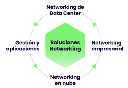 Cybersecurity & Networking
