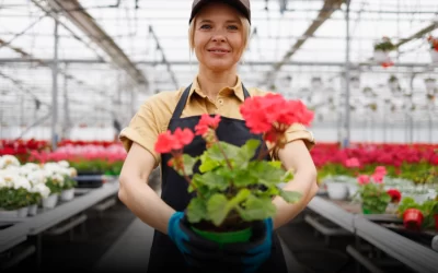 Floricultura